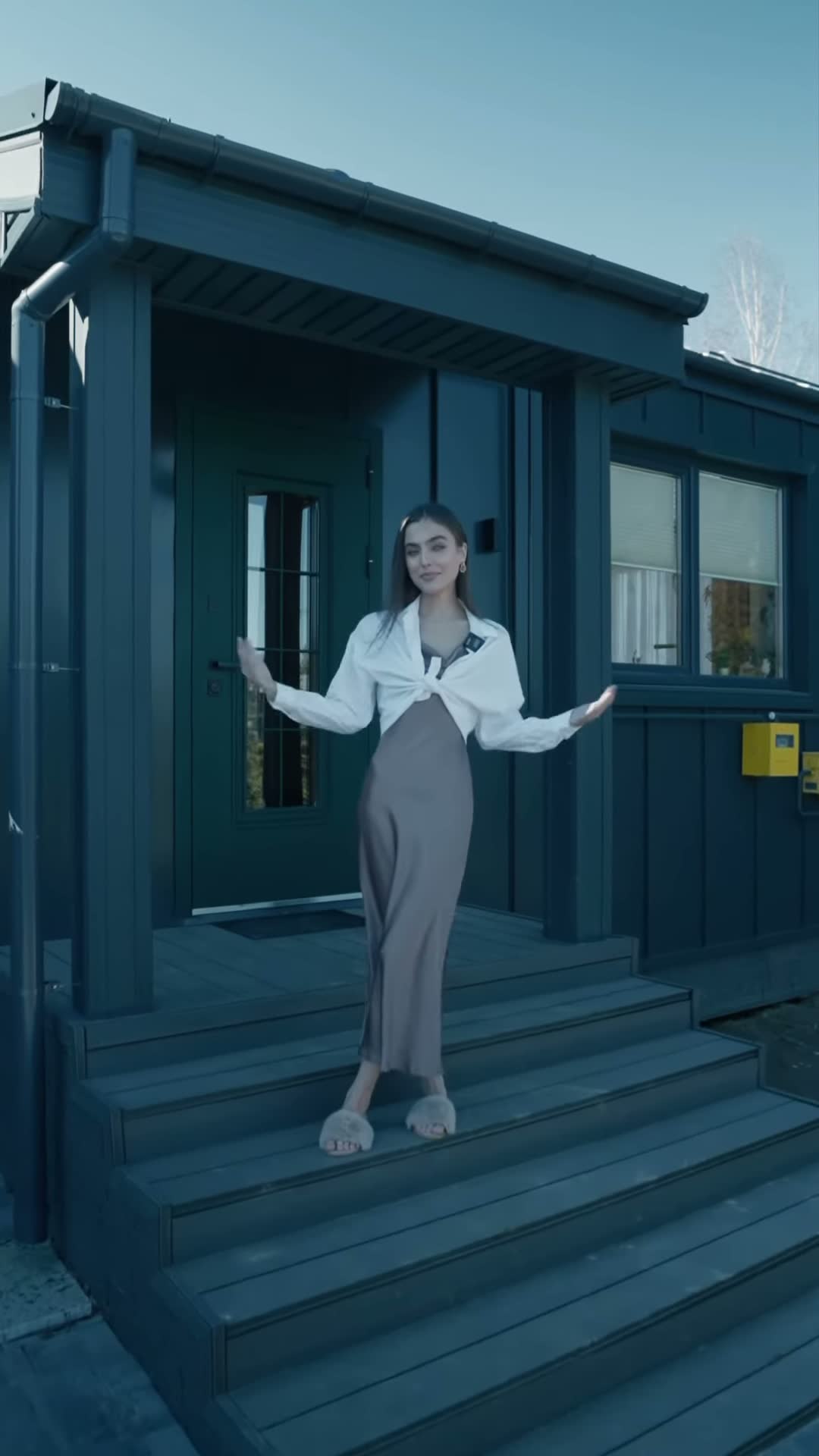 Современный каркасный дом