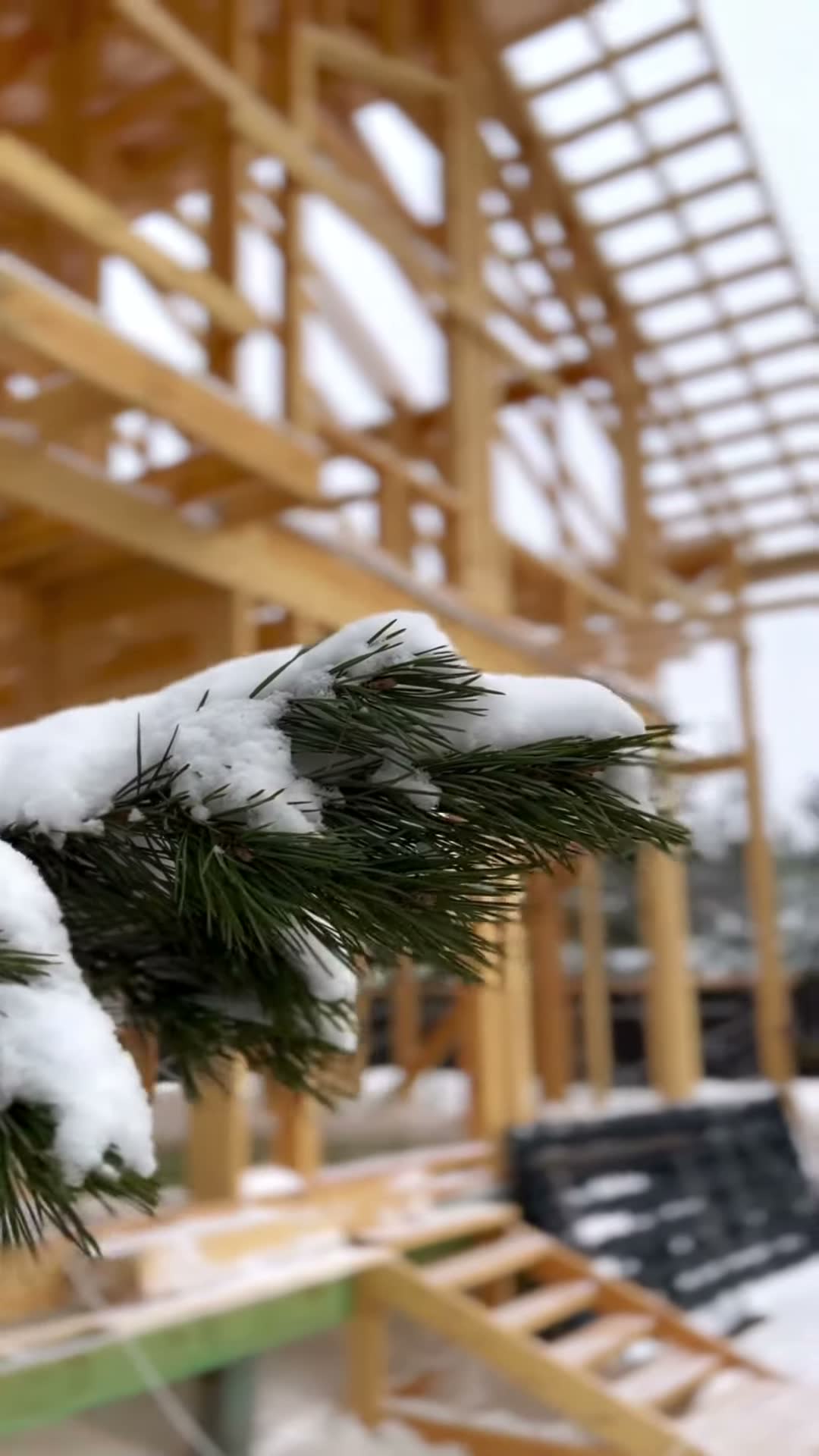 Проект «Фантазия 2»