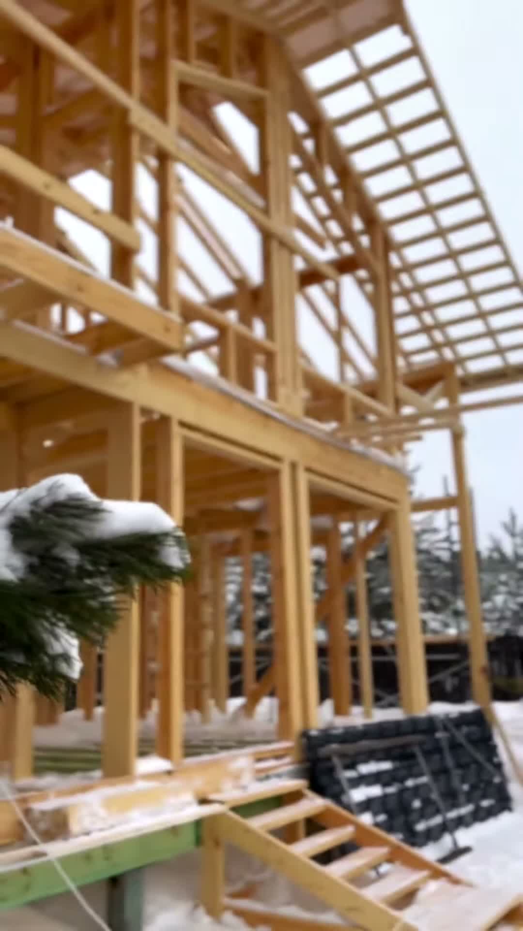 Проект «Фантазия 2»